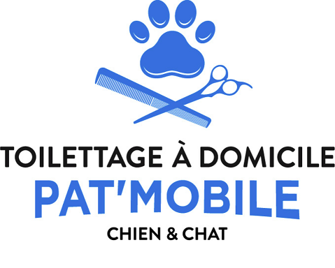 Pat'Mobile